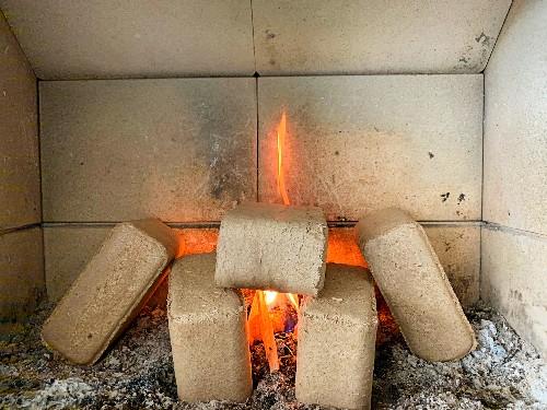 Briquettes de bois densifiées
